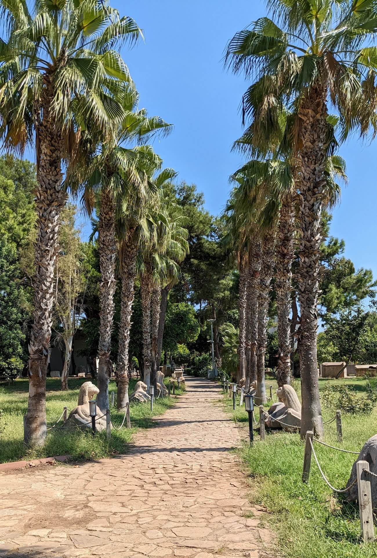 archaeology_museum31