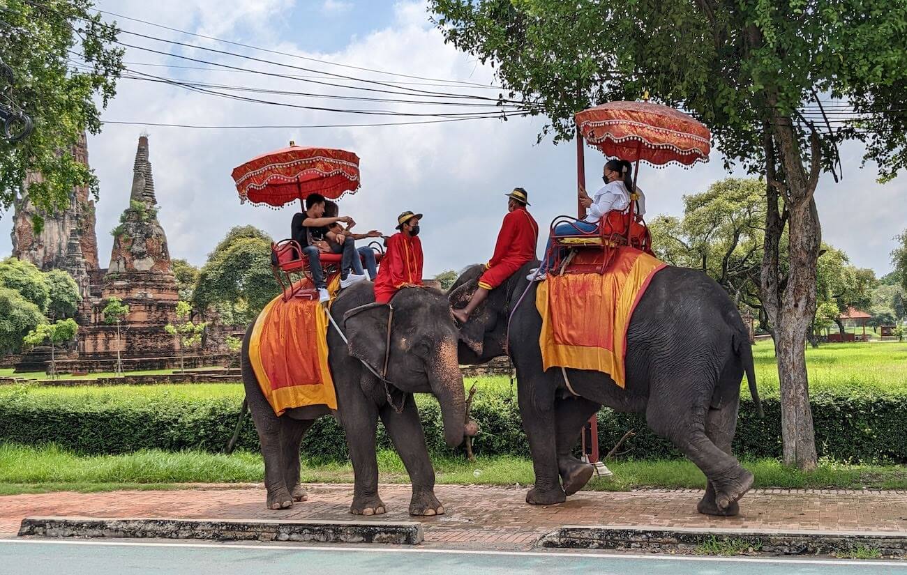 elephant2