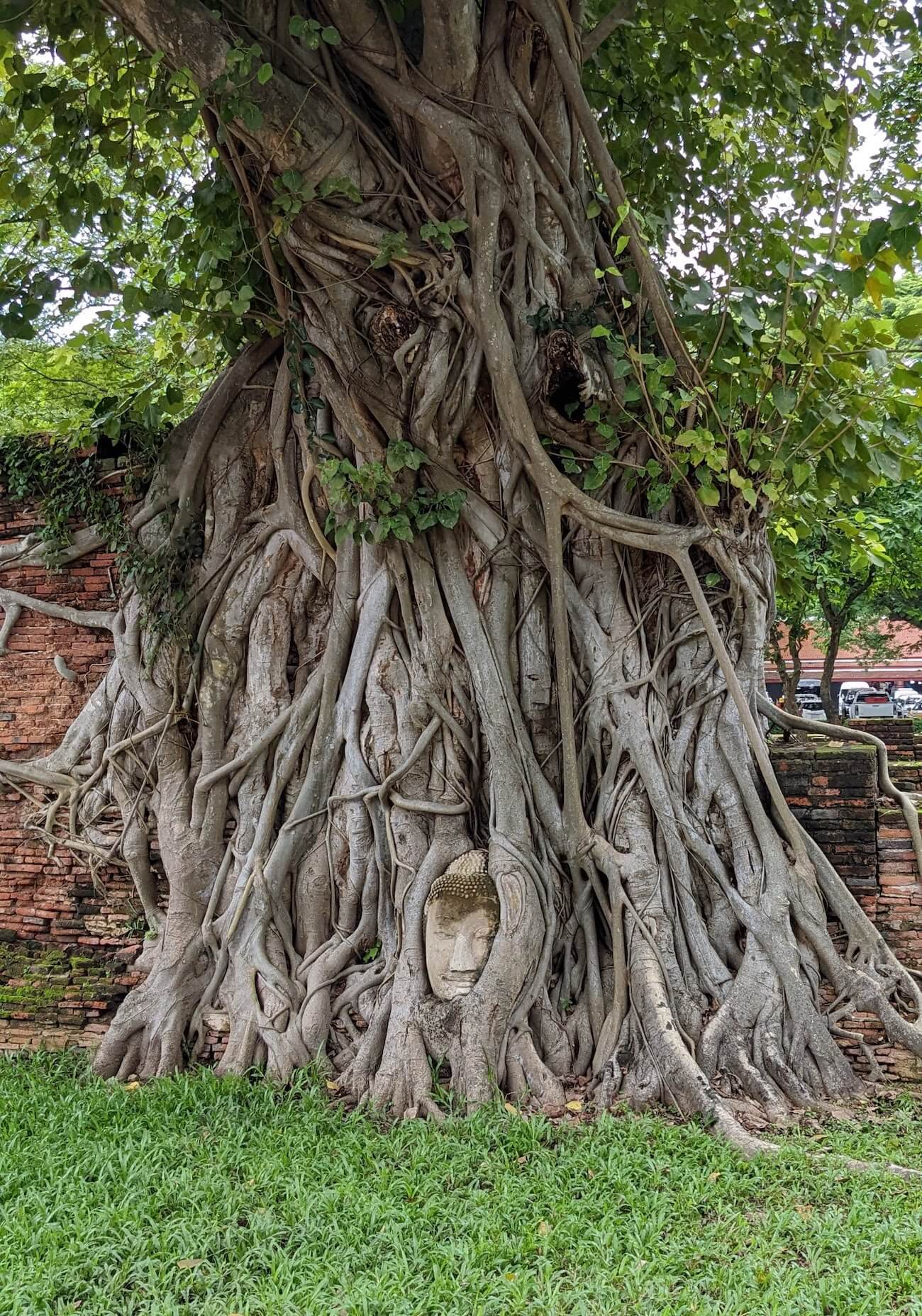 wat_mahathat10