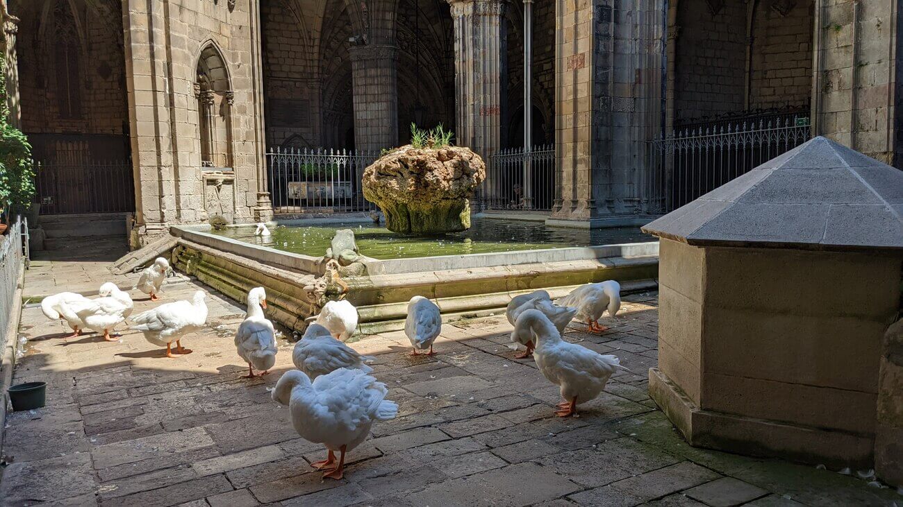 catedral8