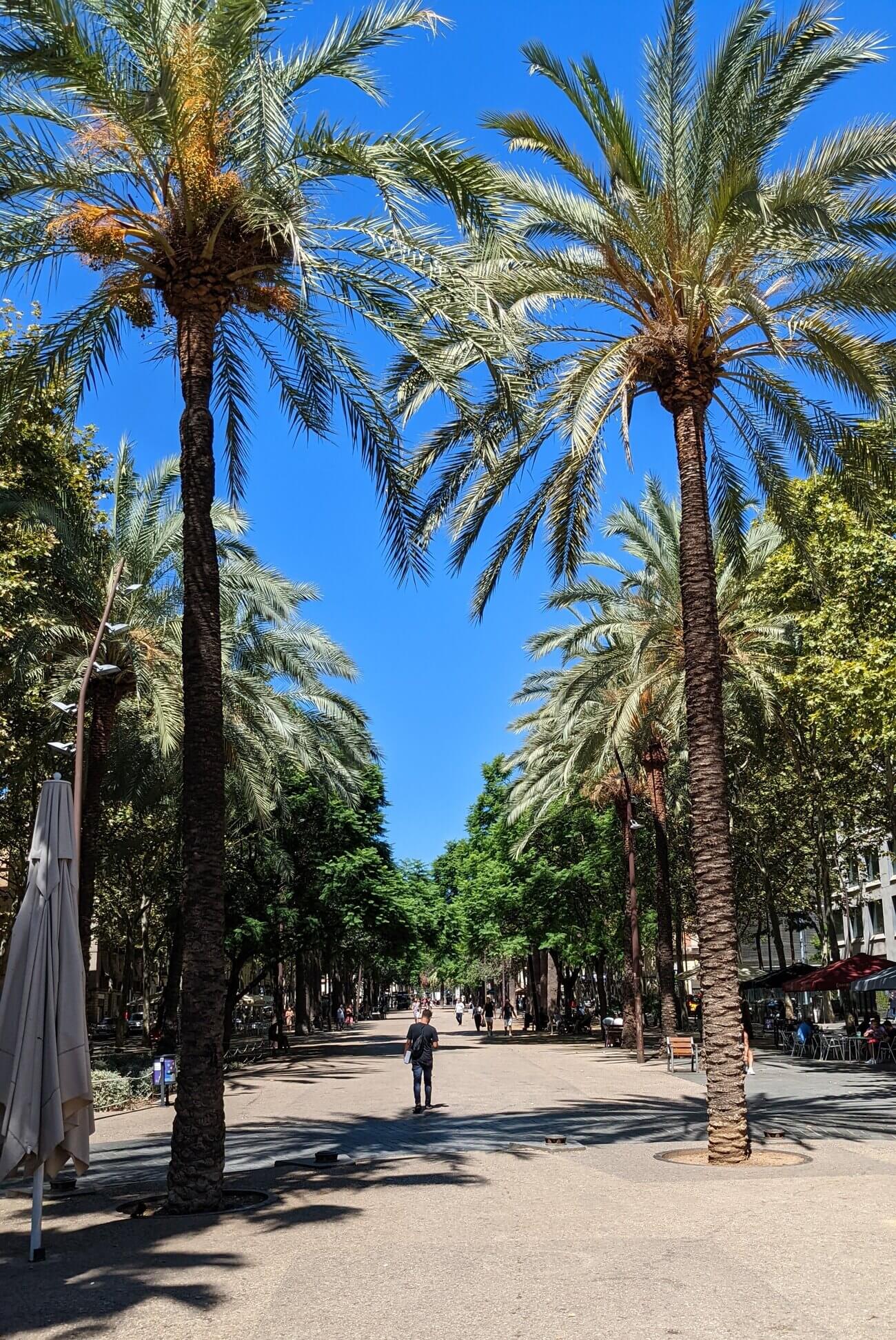 rambla_del_raval1