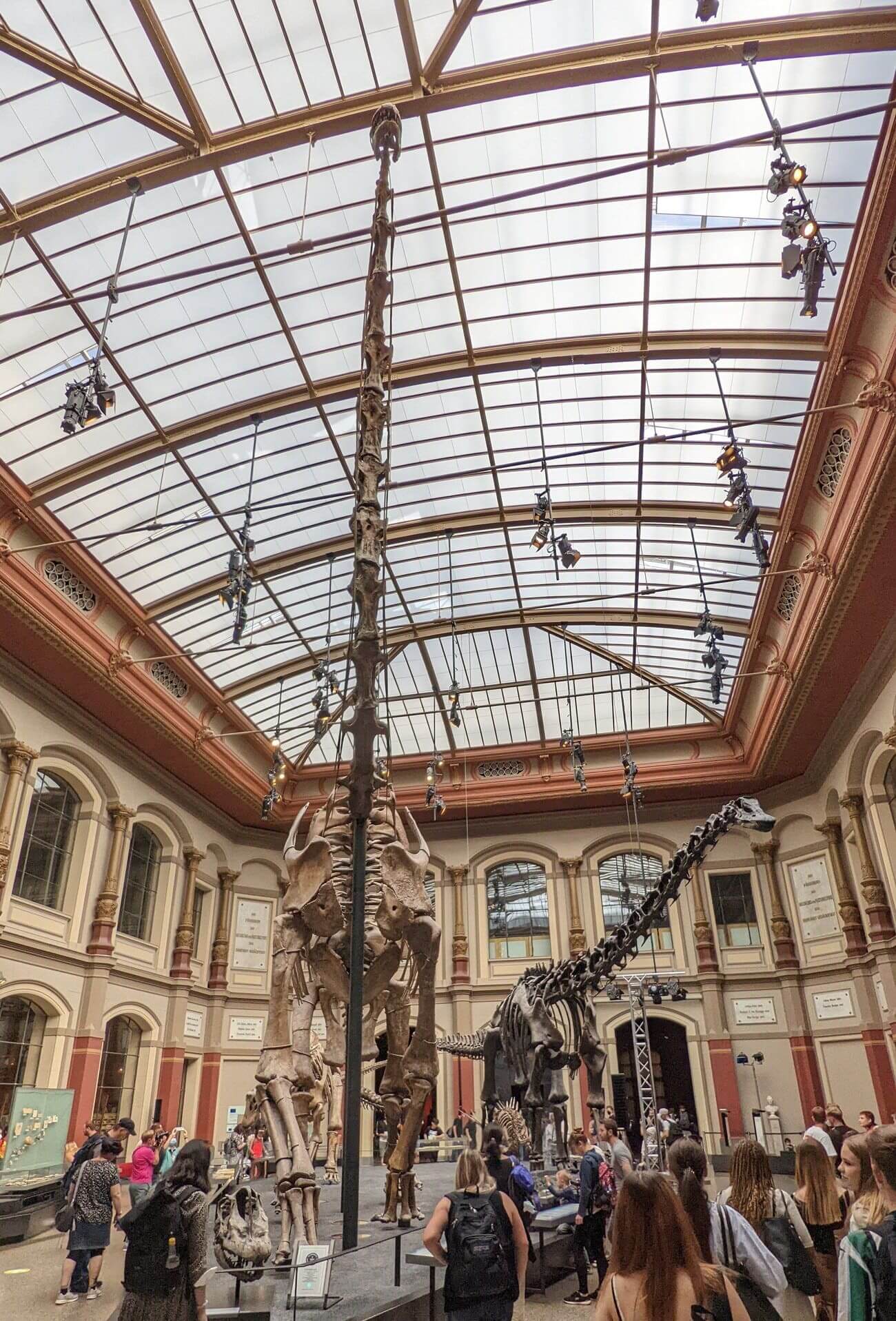 humboldt_museum2