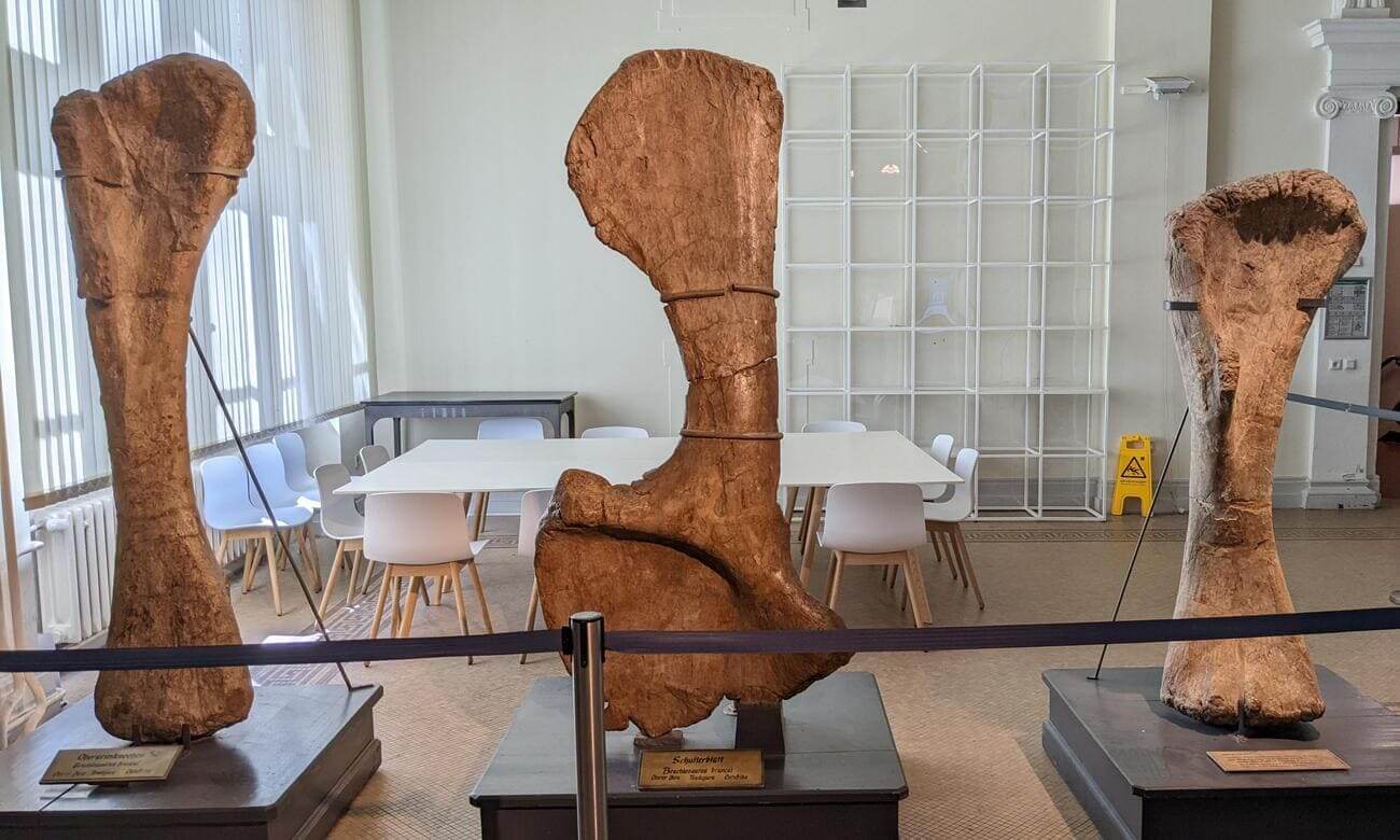 humboldt_museum4
