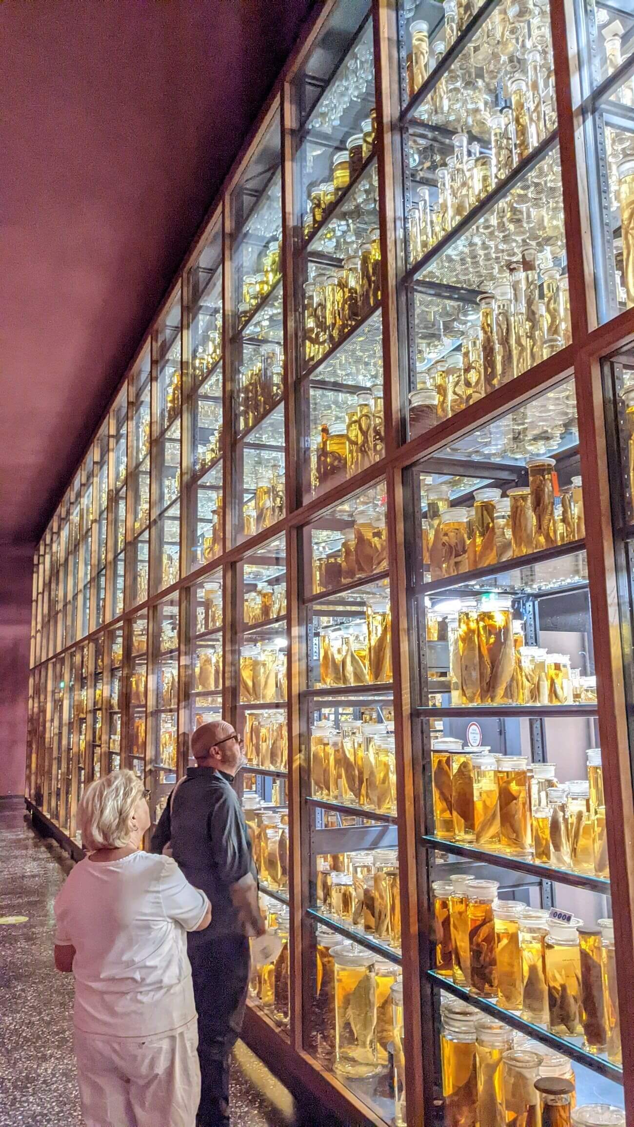 humboldt_museum6