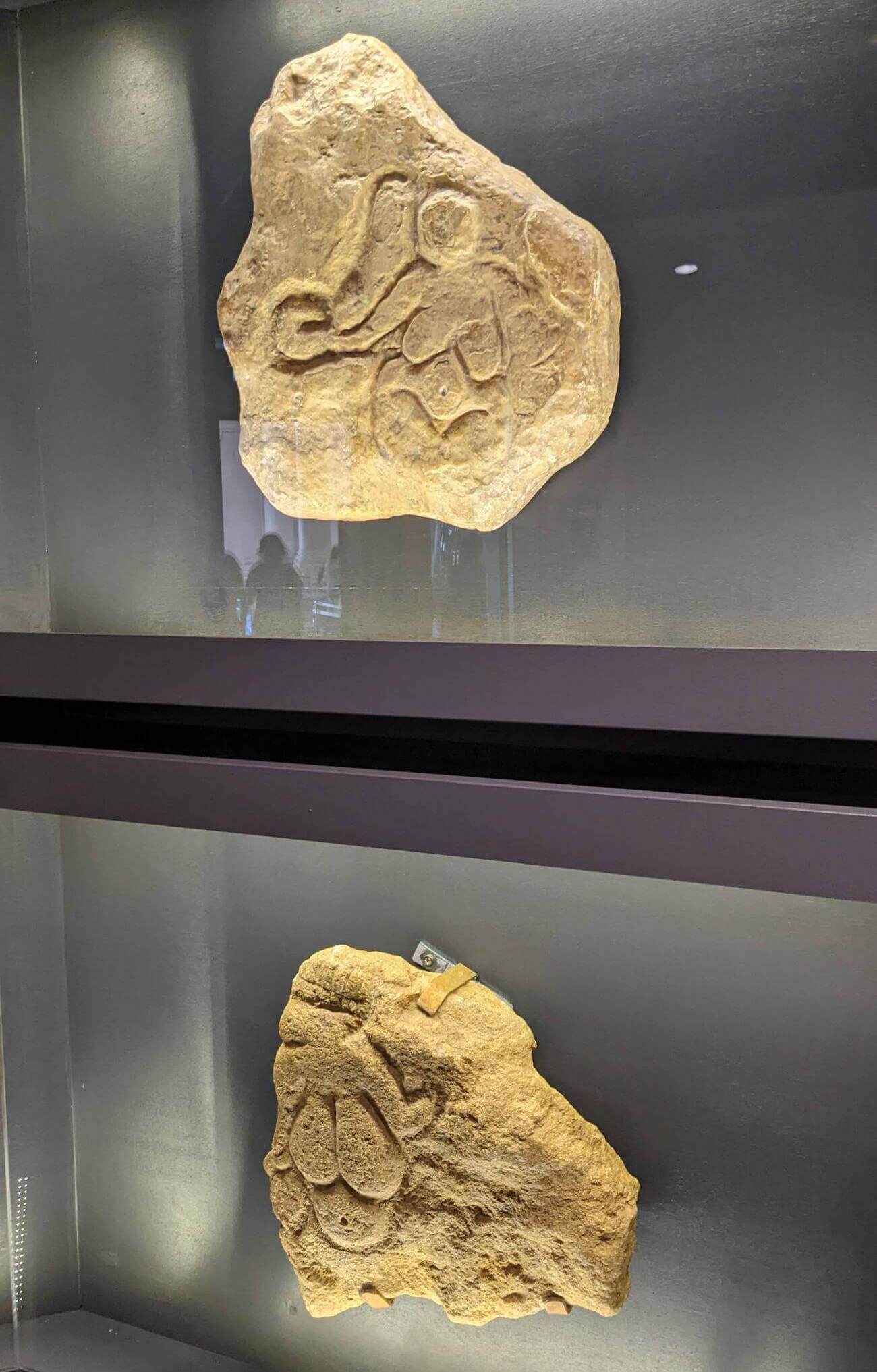 musee_d_aquitaine2