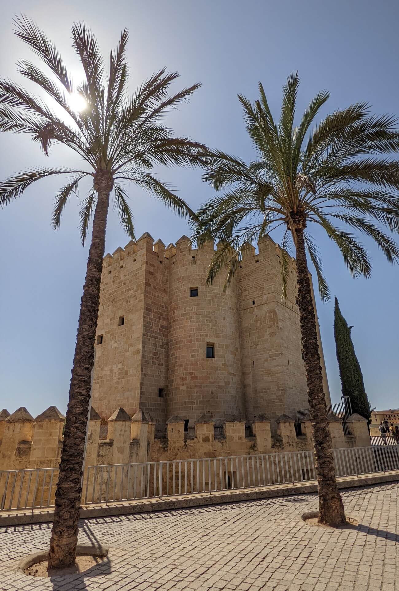 calahorra8
