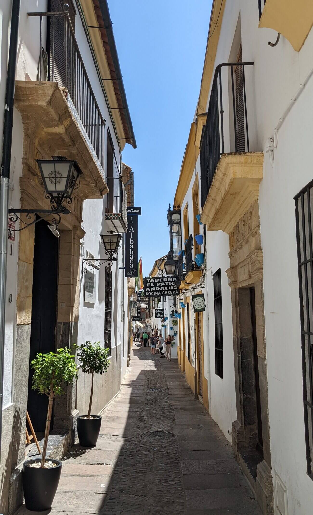 street11