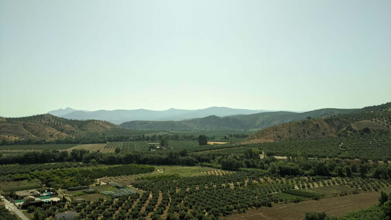 to_cordoba1