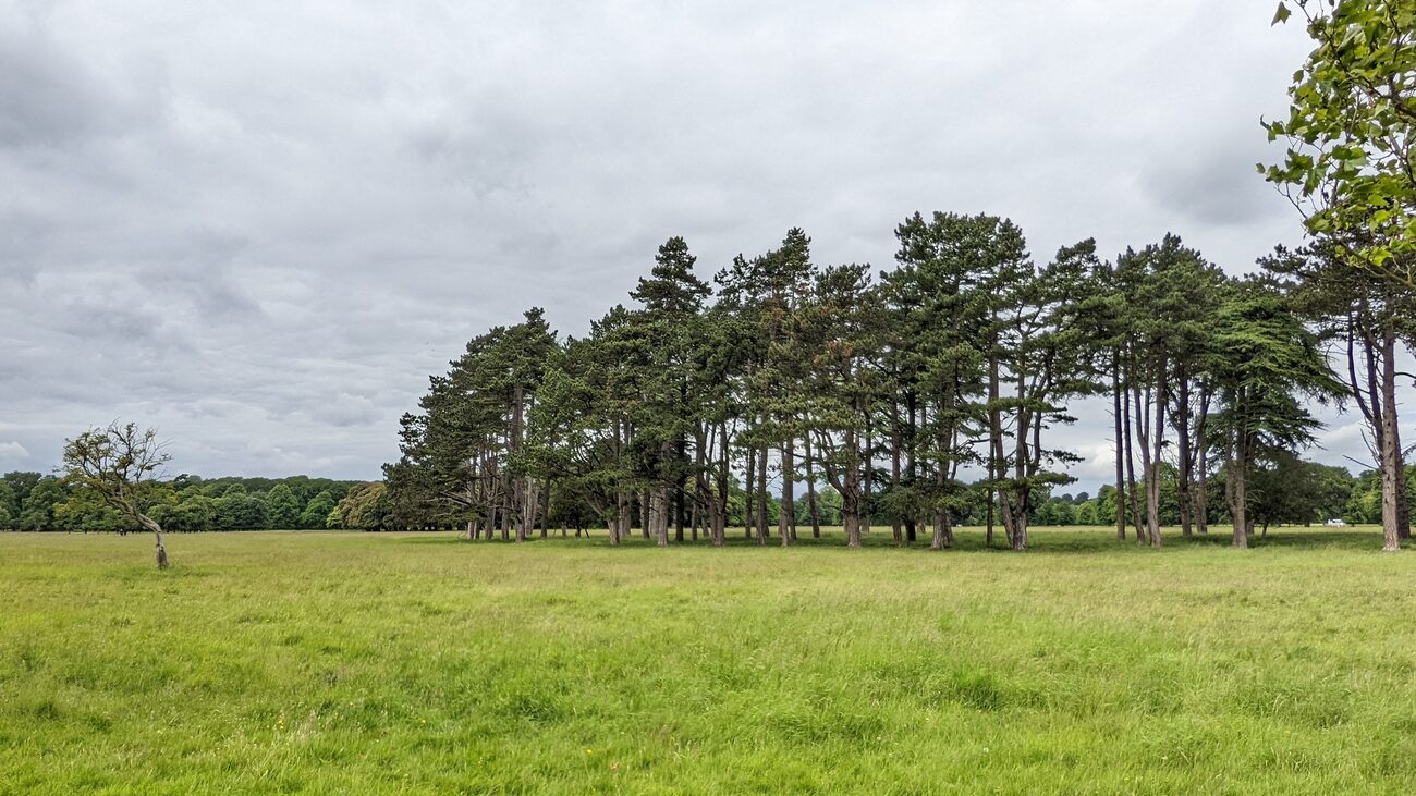 phoenix_park4