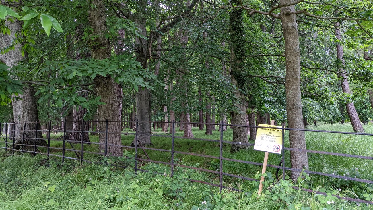 phoenix_park7