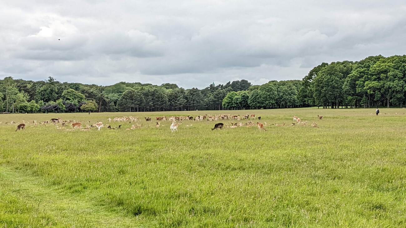 phoenix_park8