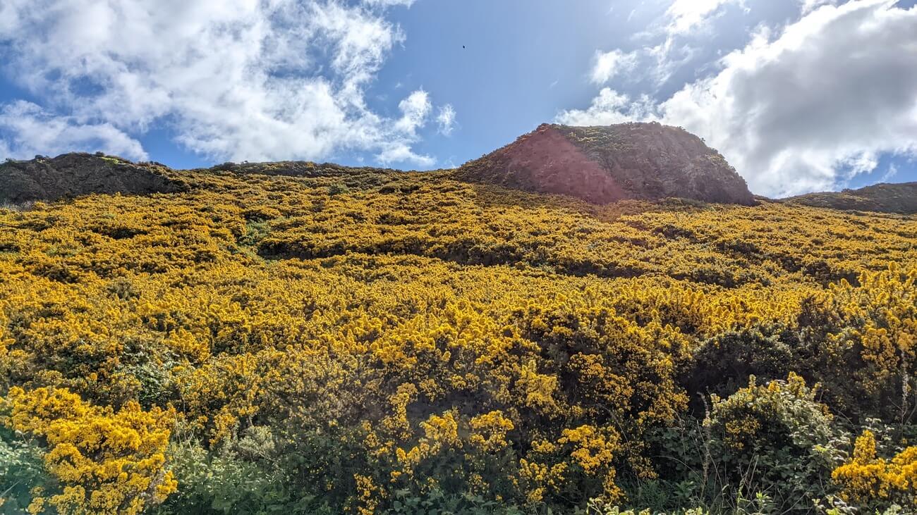 arthurs_seat10