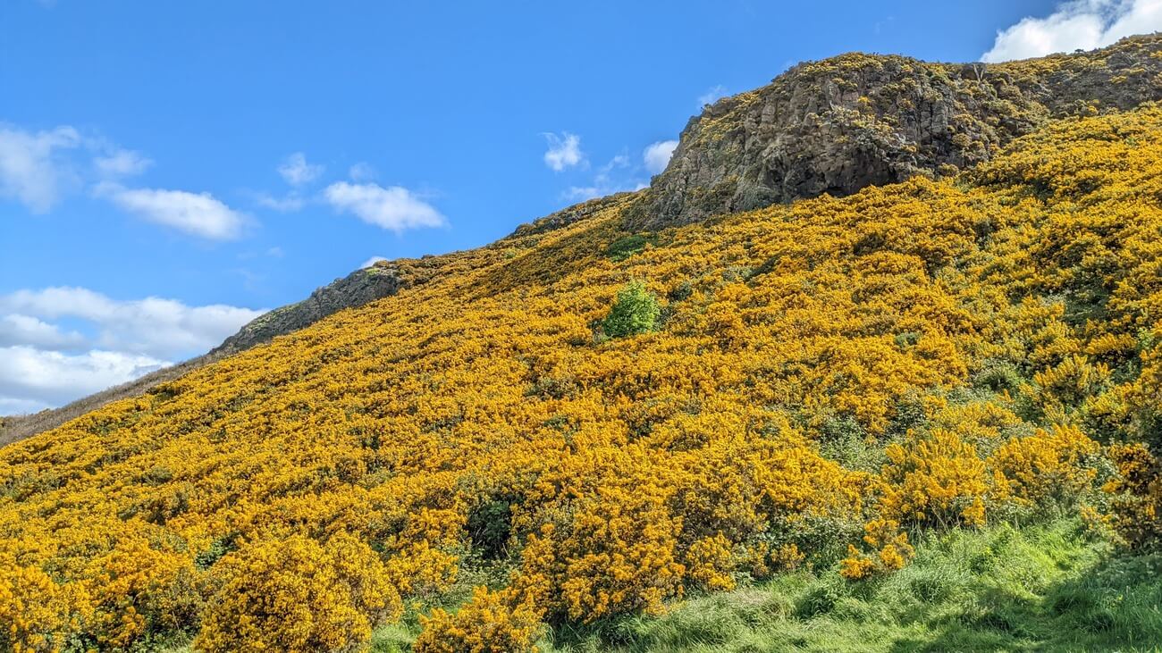 arthurs_seat11
