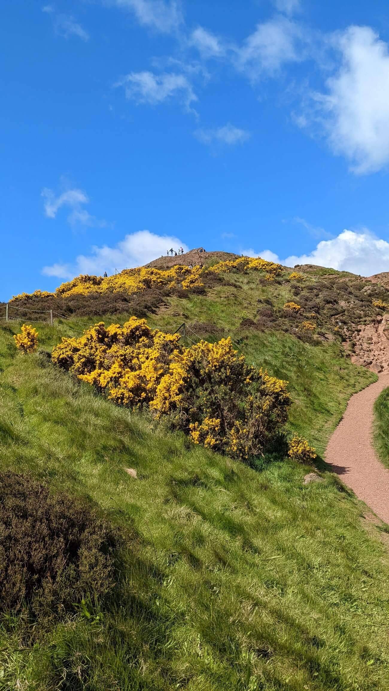 arthurs_seat15