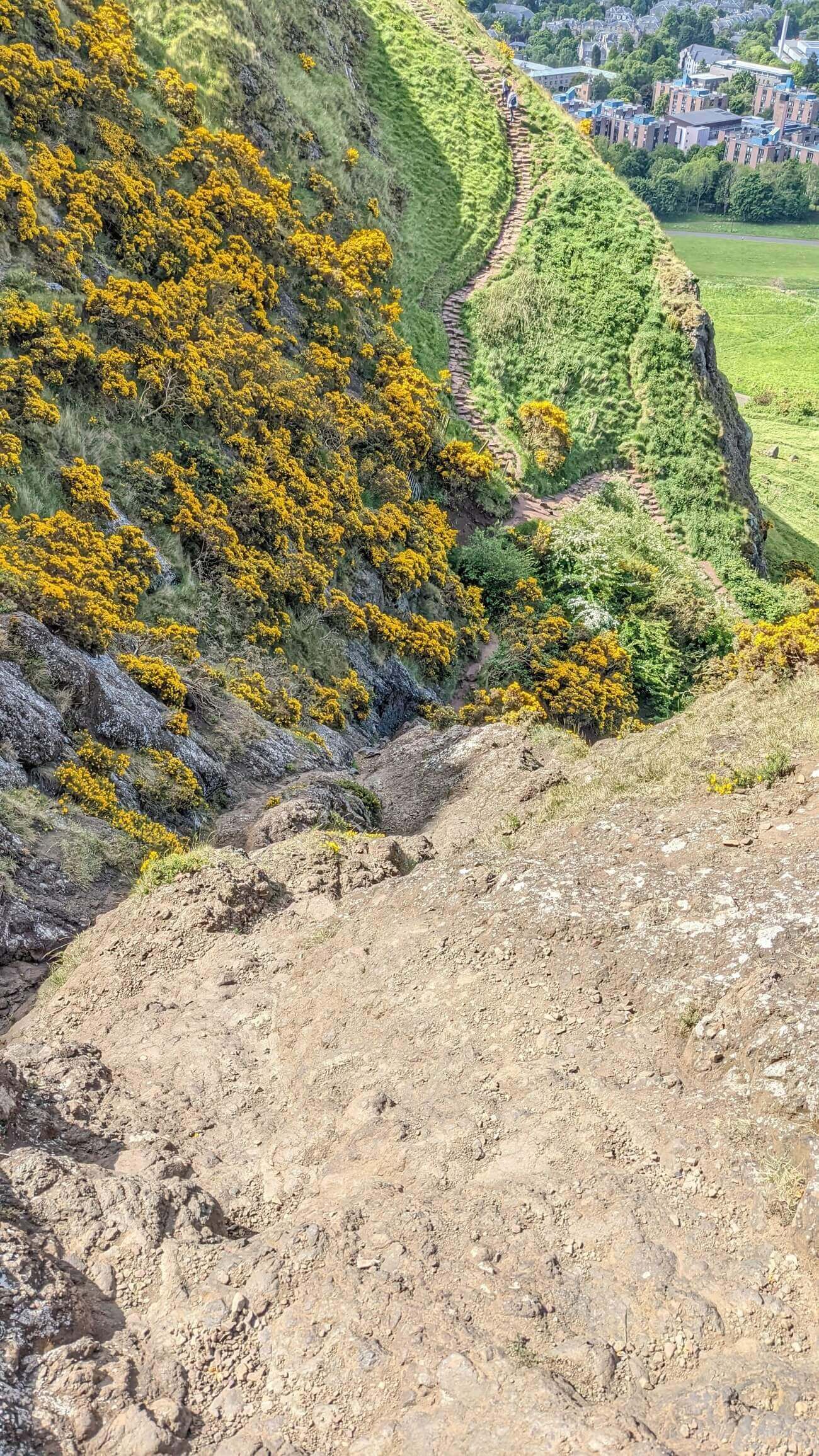 arthurs_seat19