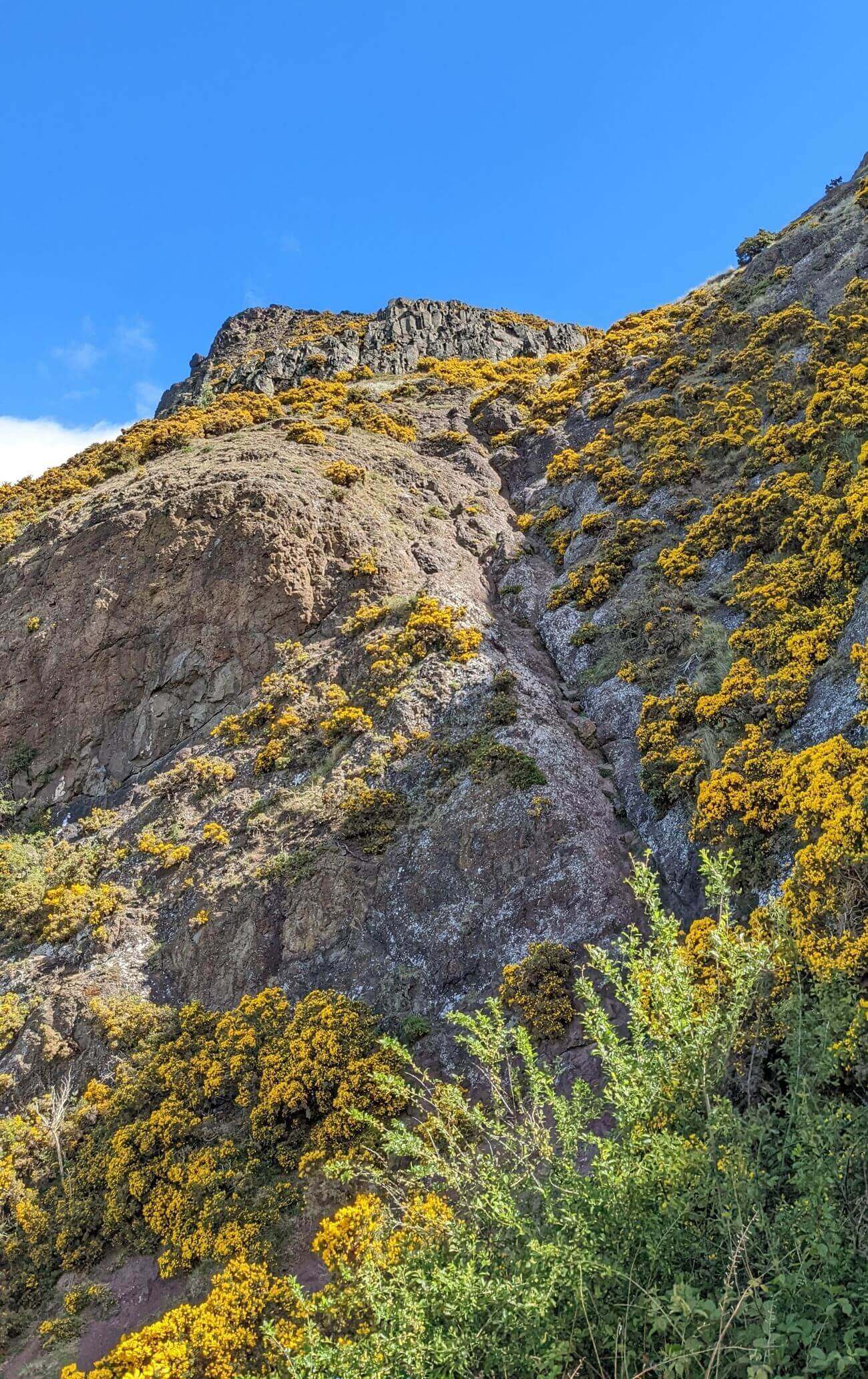 arthurs_seat20