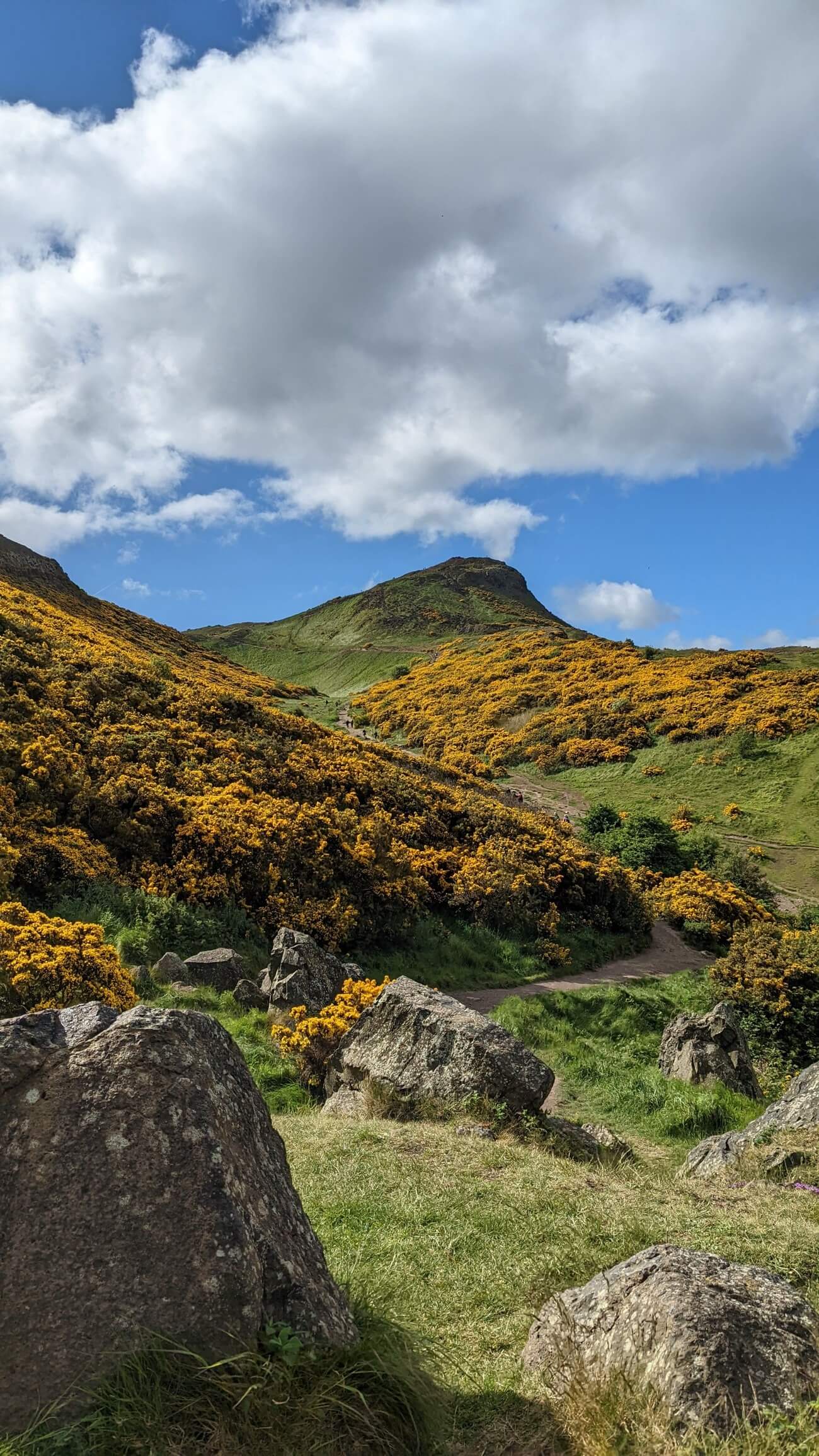 arthurs_seat9