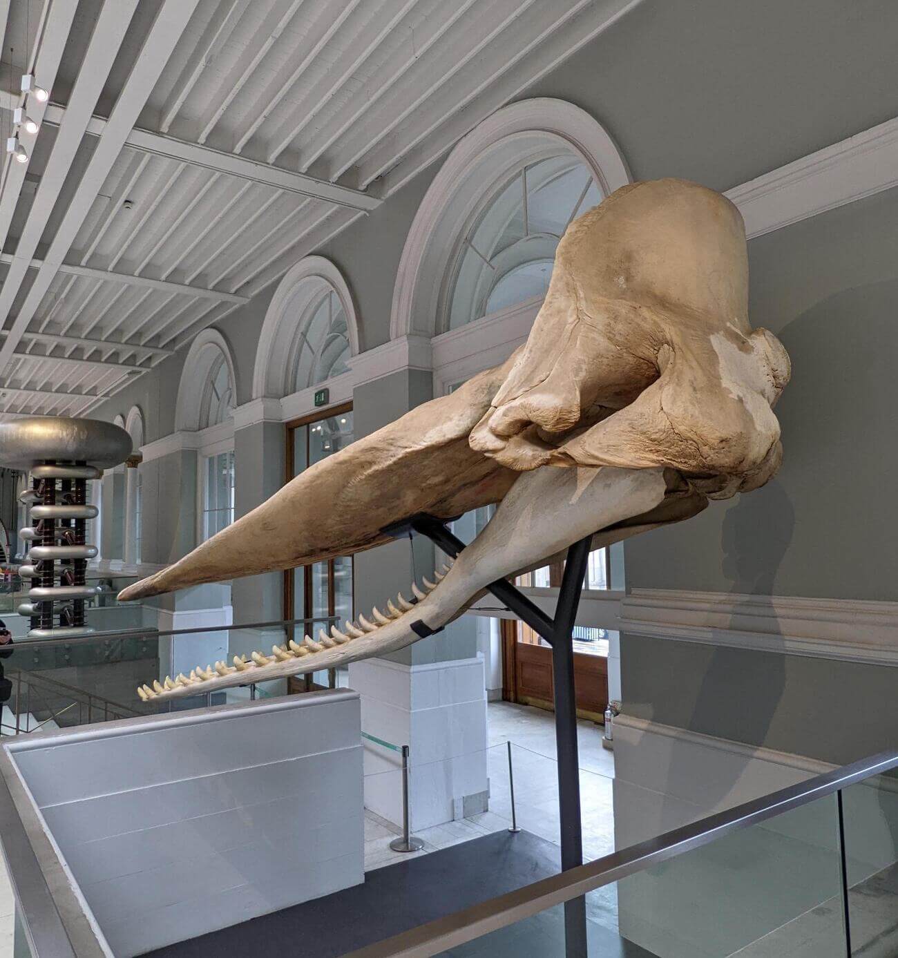 national_museum8
