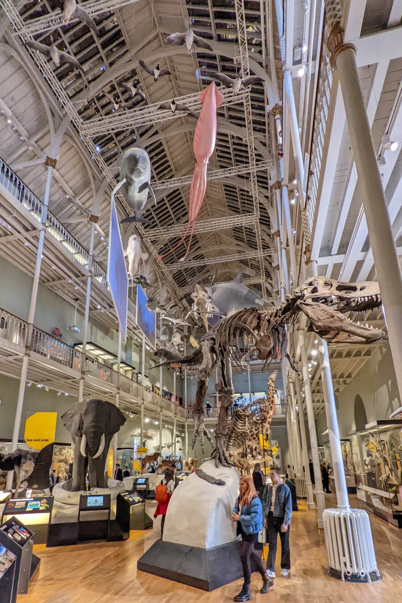 national_museum9