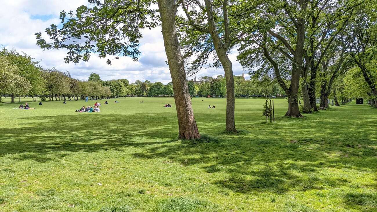 the_meadows2