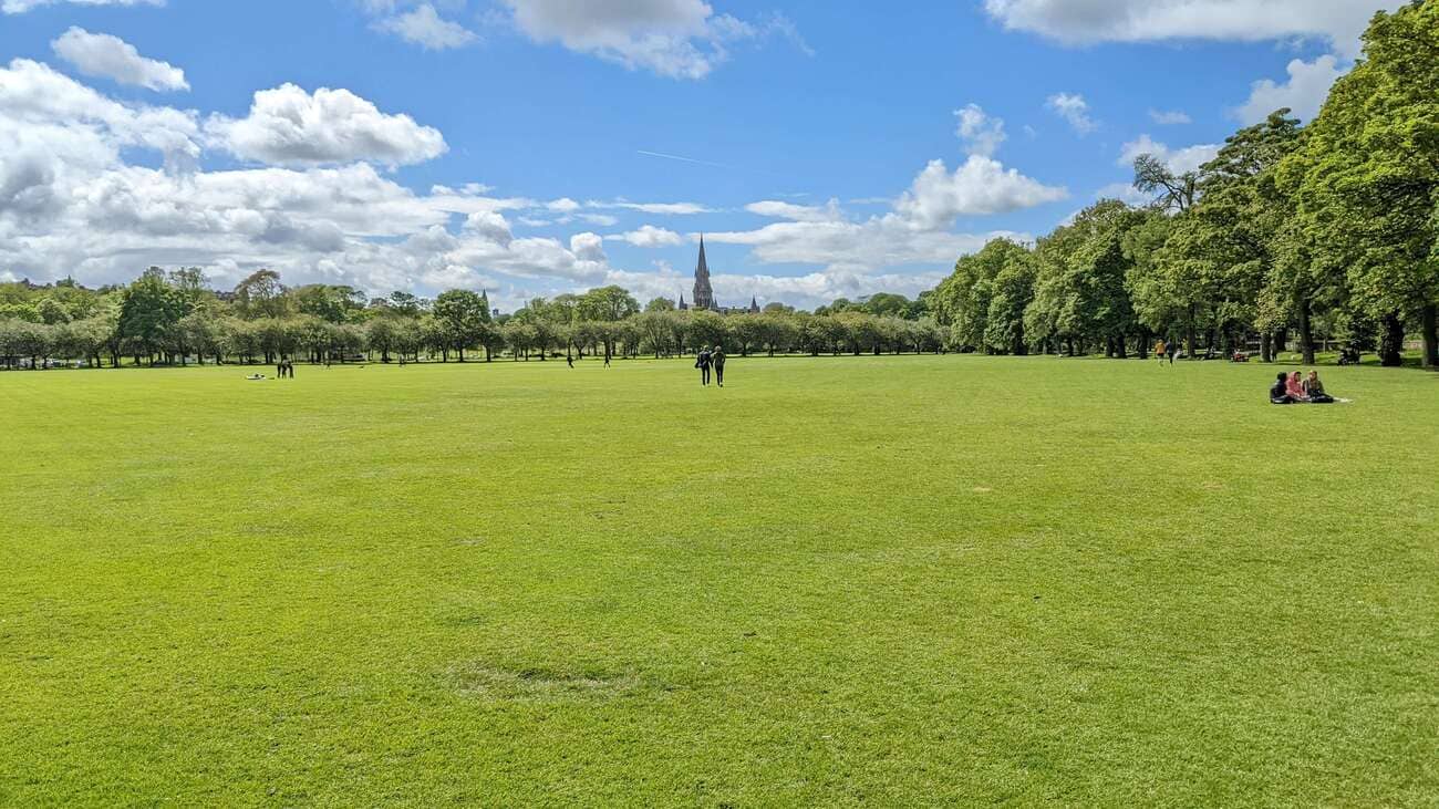 the_meadows3
