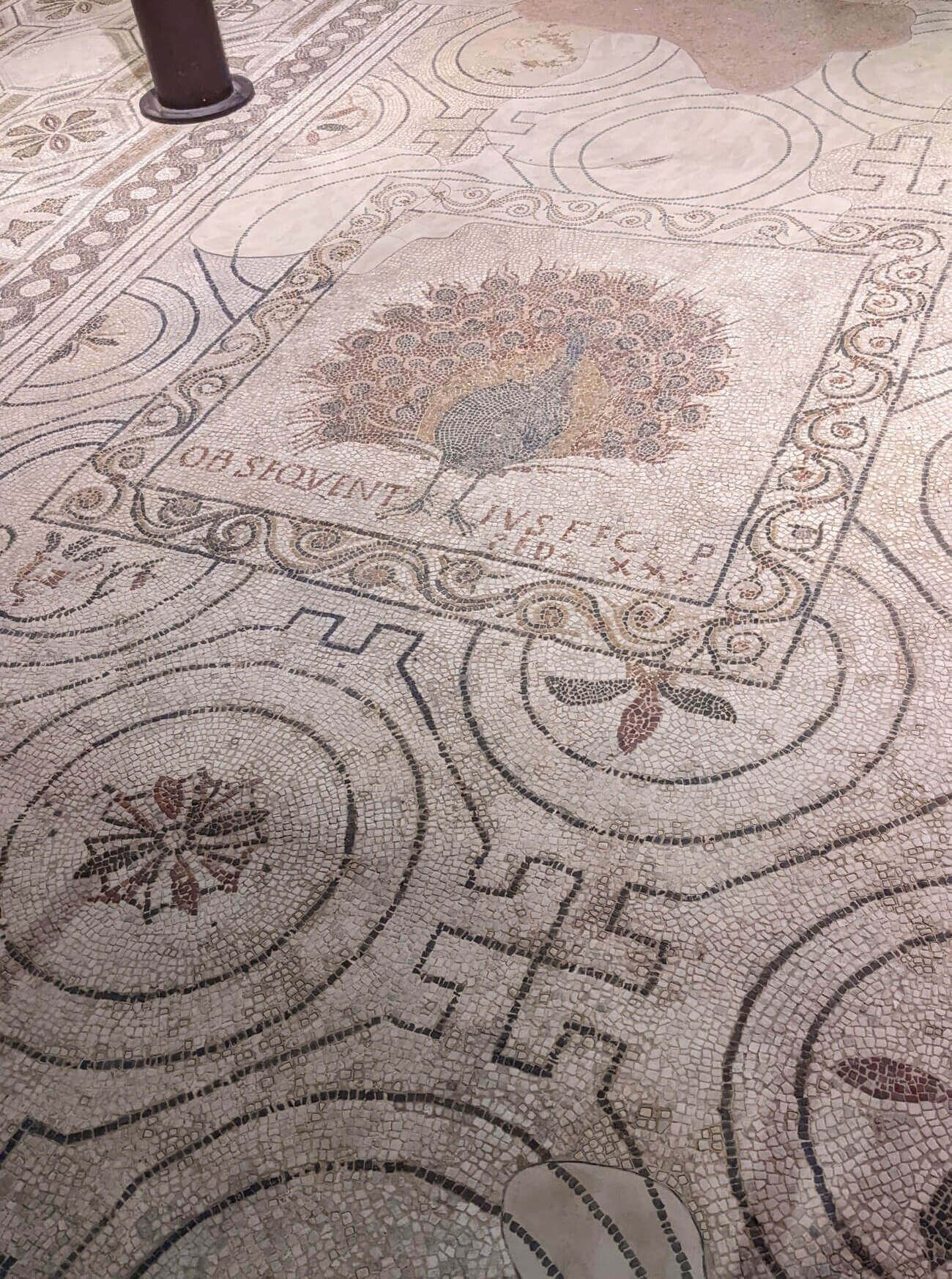 duomo5