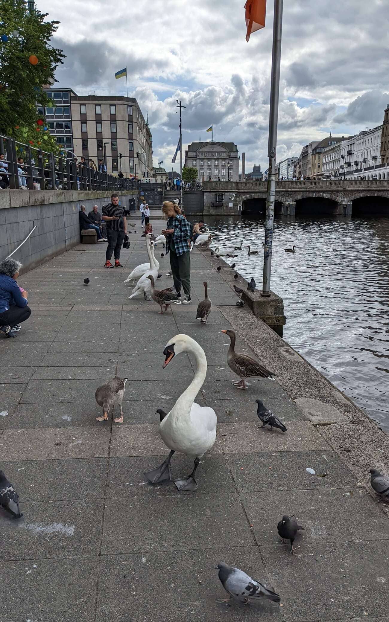 alster2