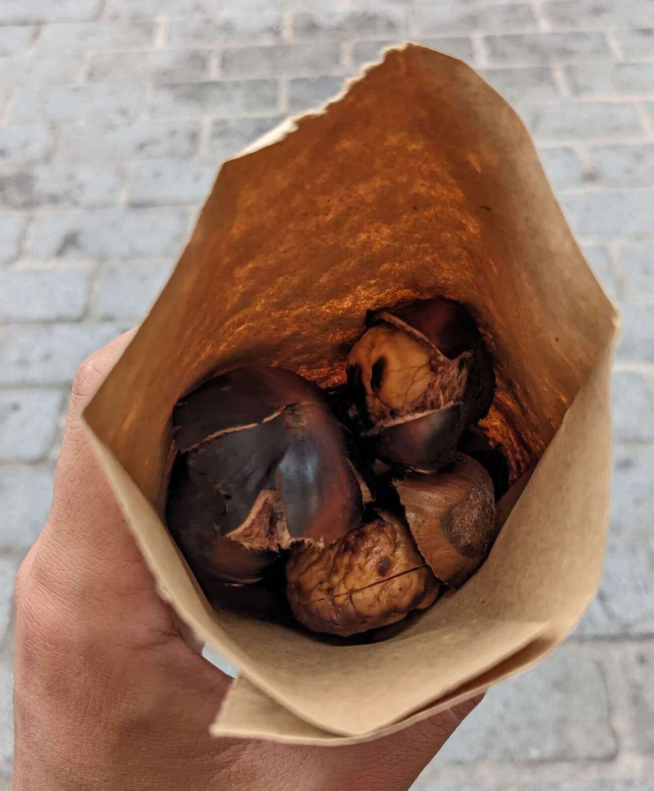 food11