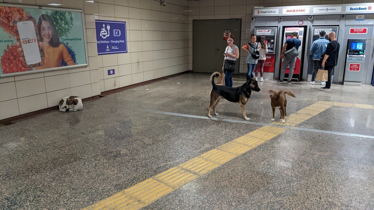 metro1