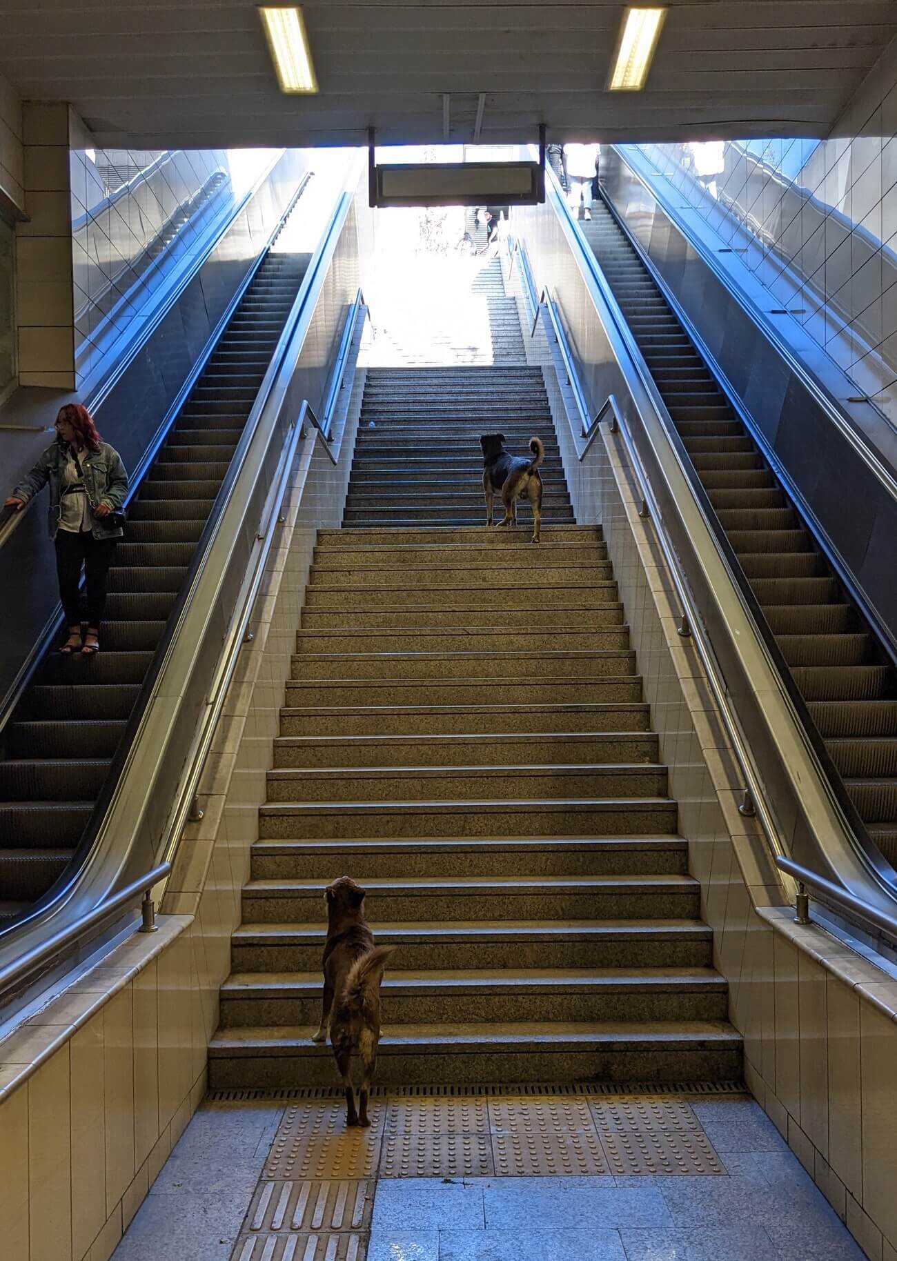 metro2