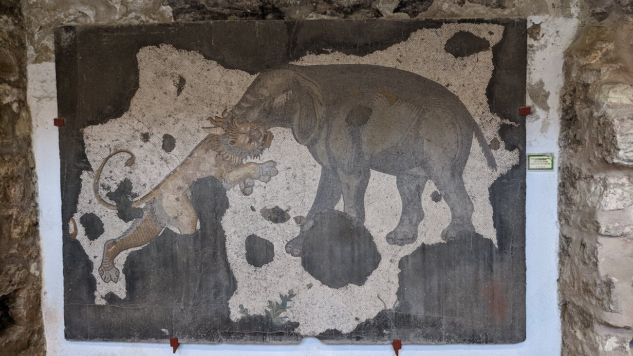 mosaic_museum11