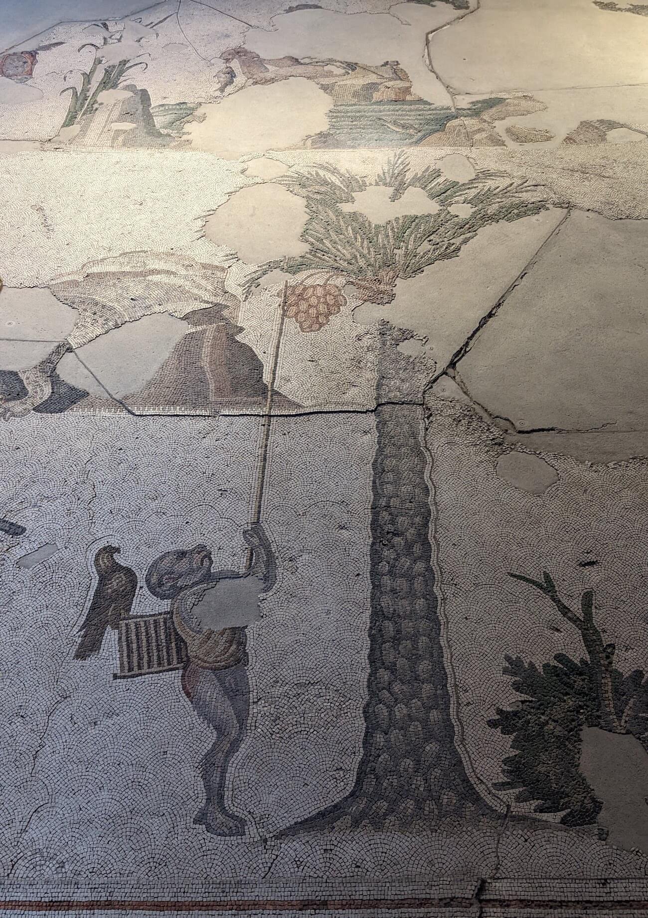 mosaic_museum7