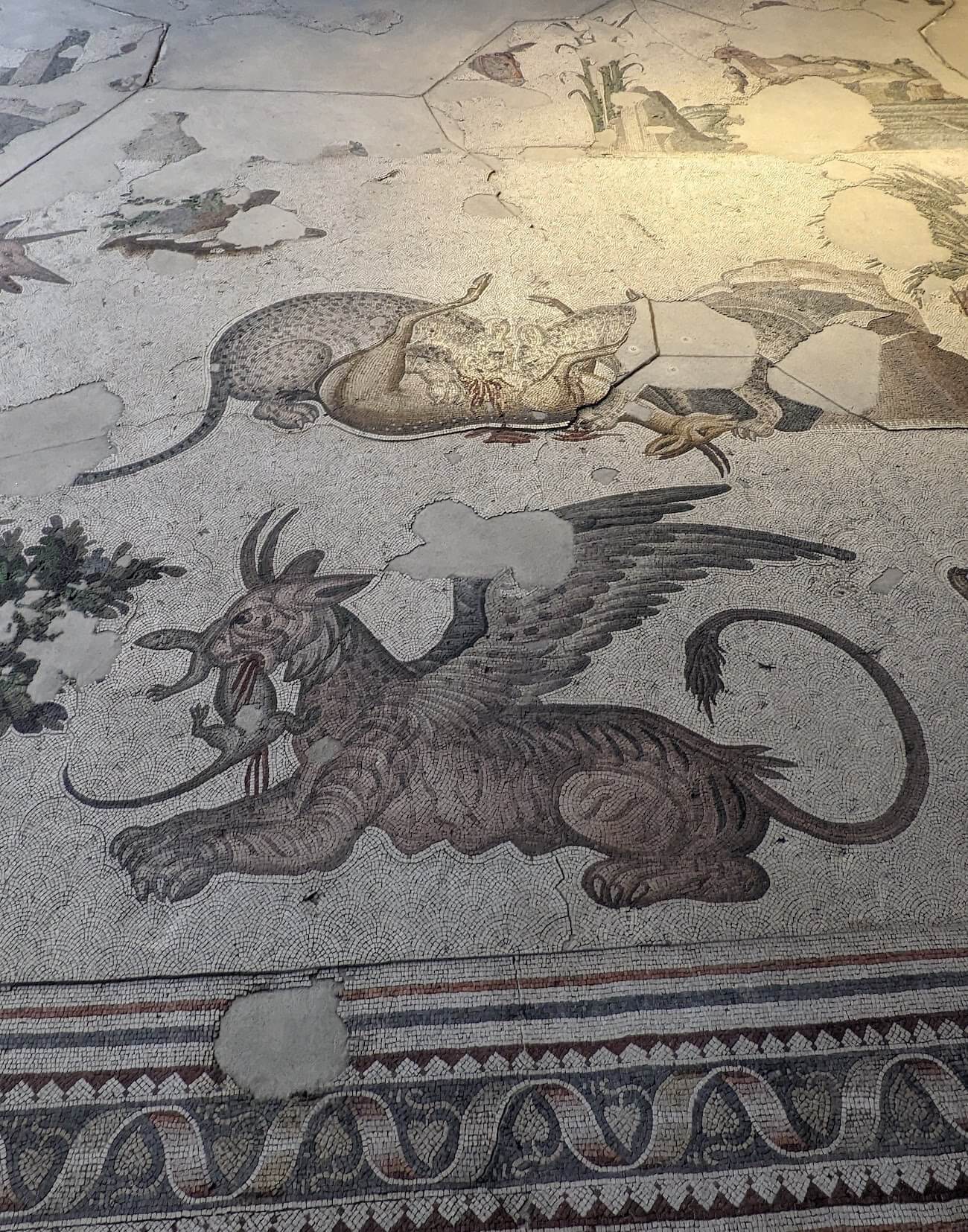 mosaic_museum8