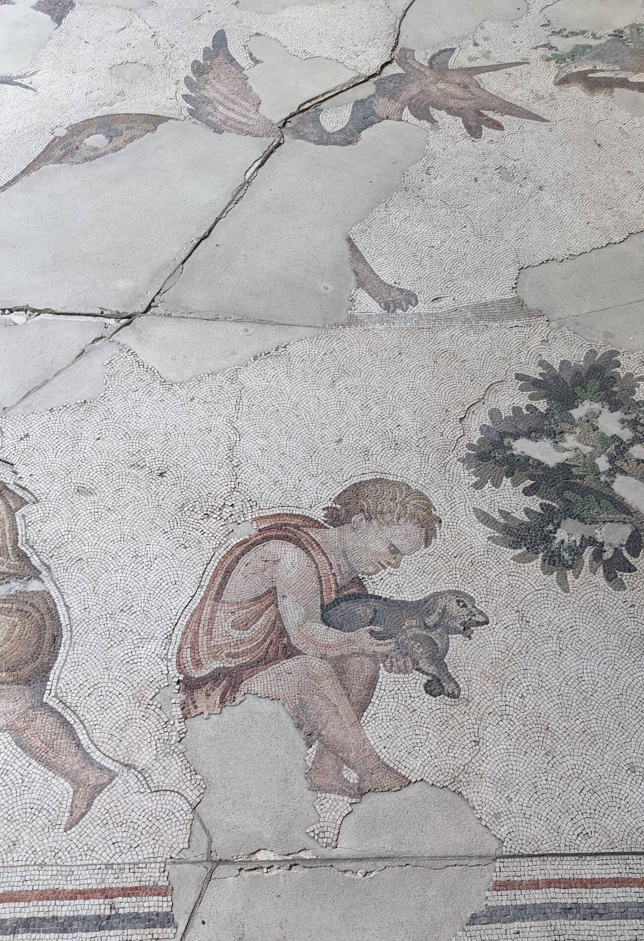 mosaic_museum9
