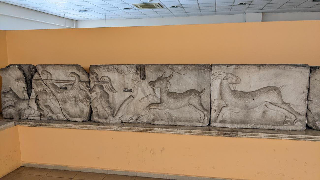 museum7