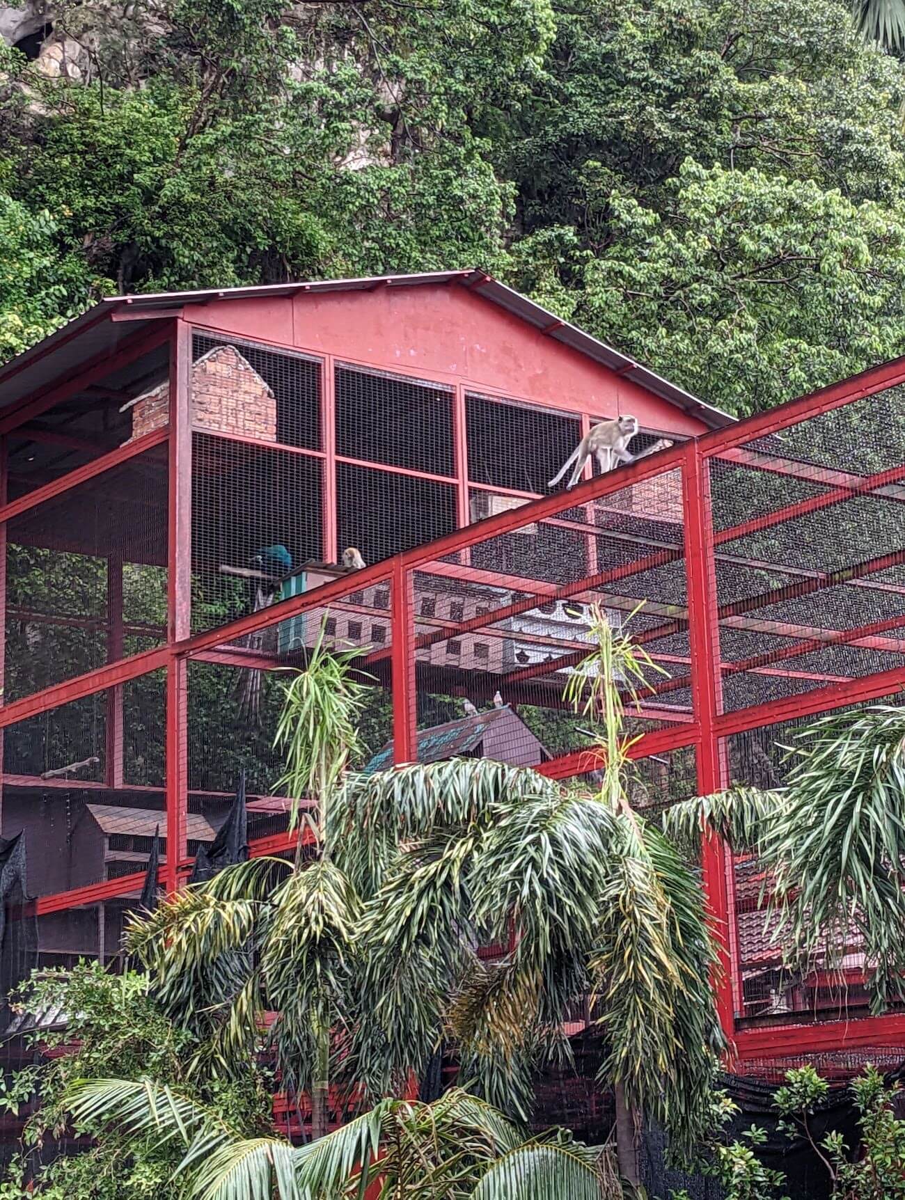 batu26