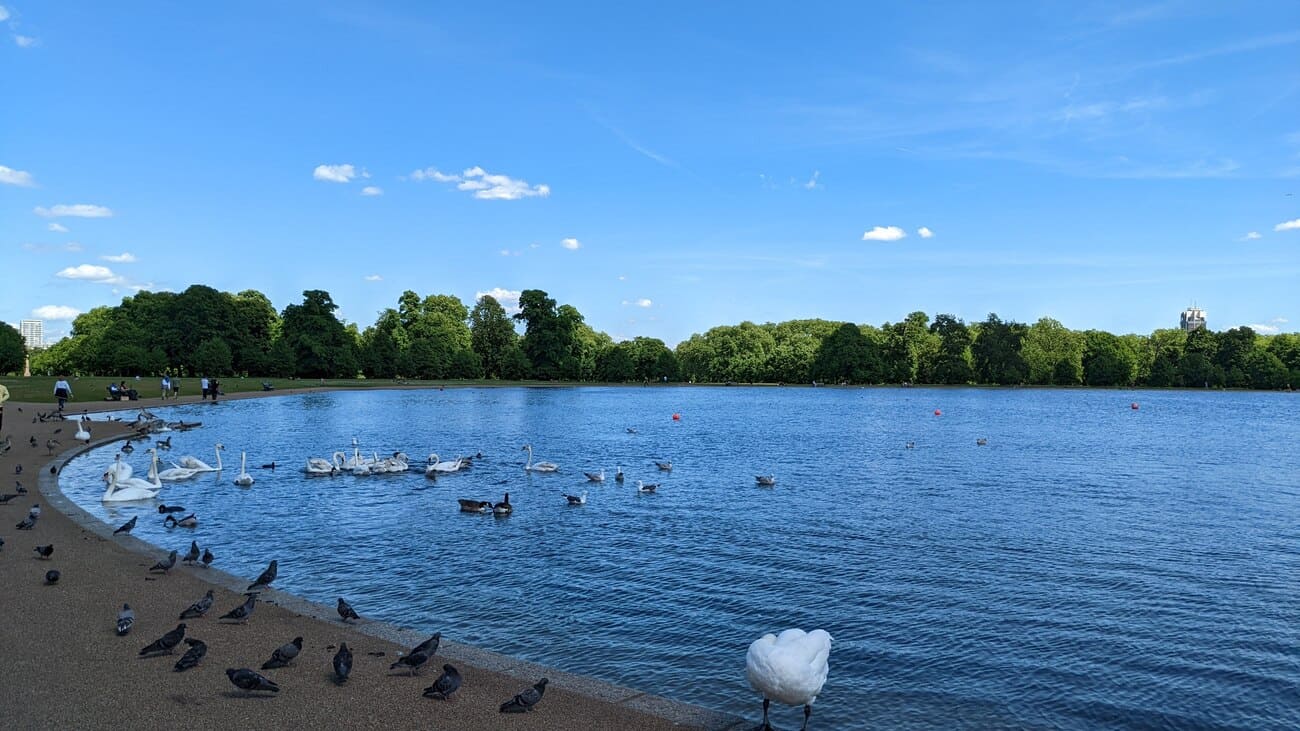 kensington3