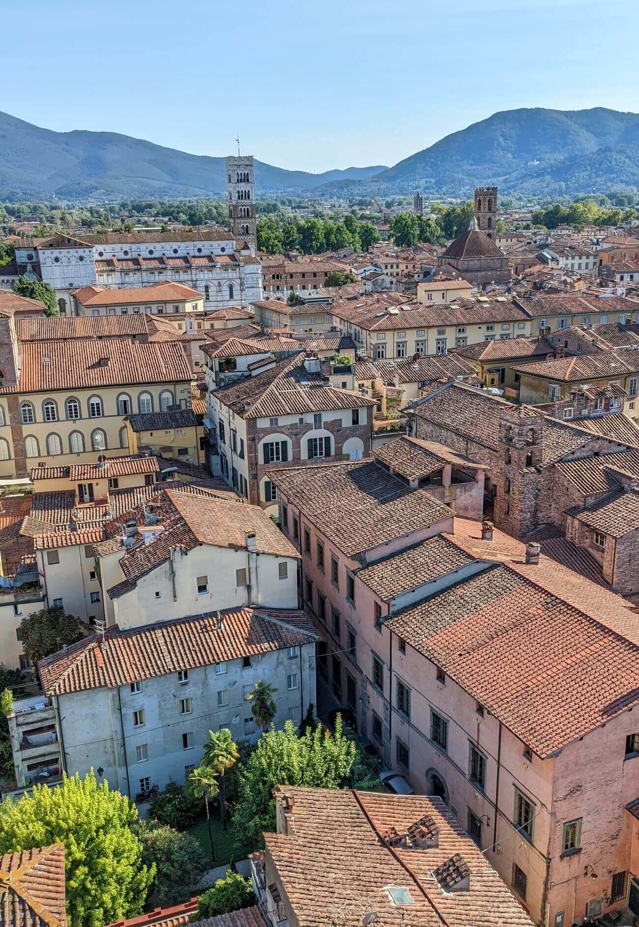 guinigi_tower3
