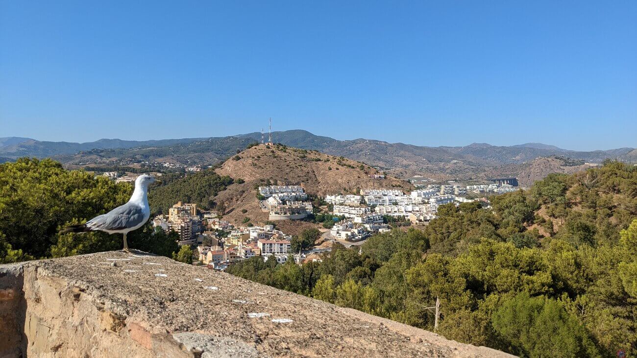 gibralfaro3