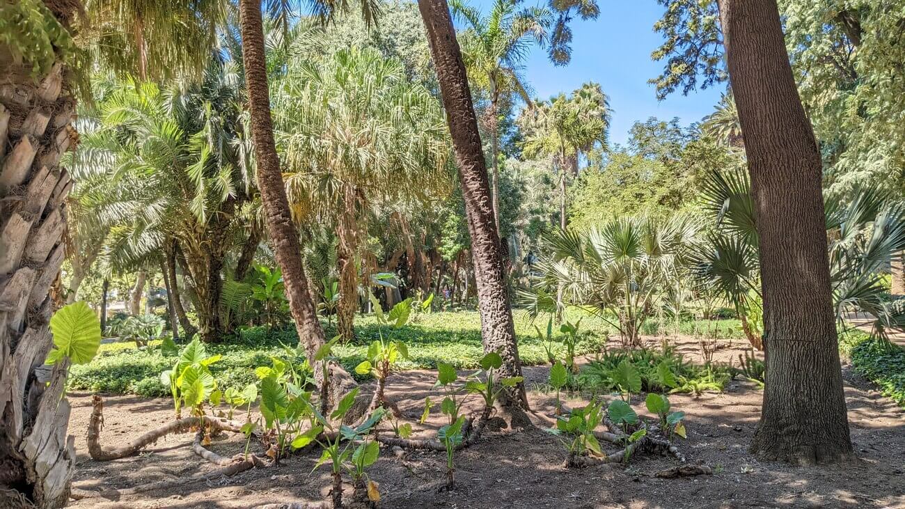 malaga_park2