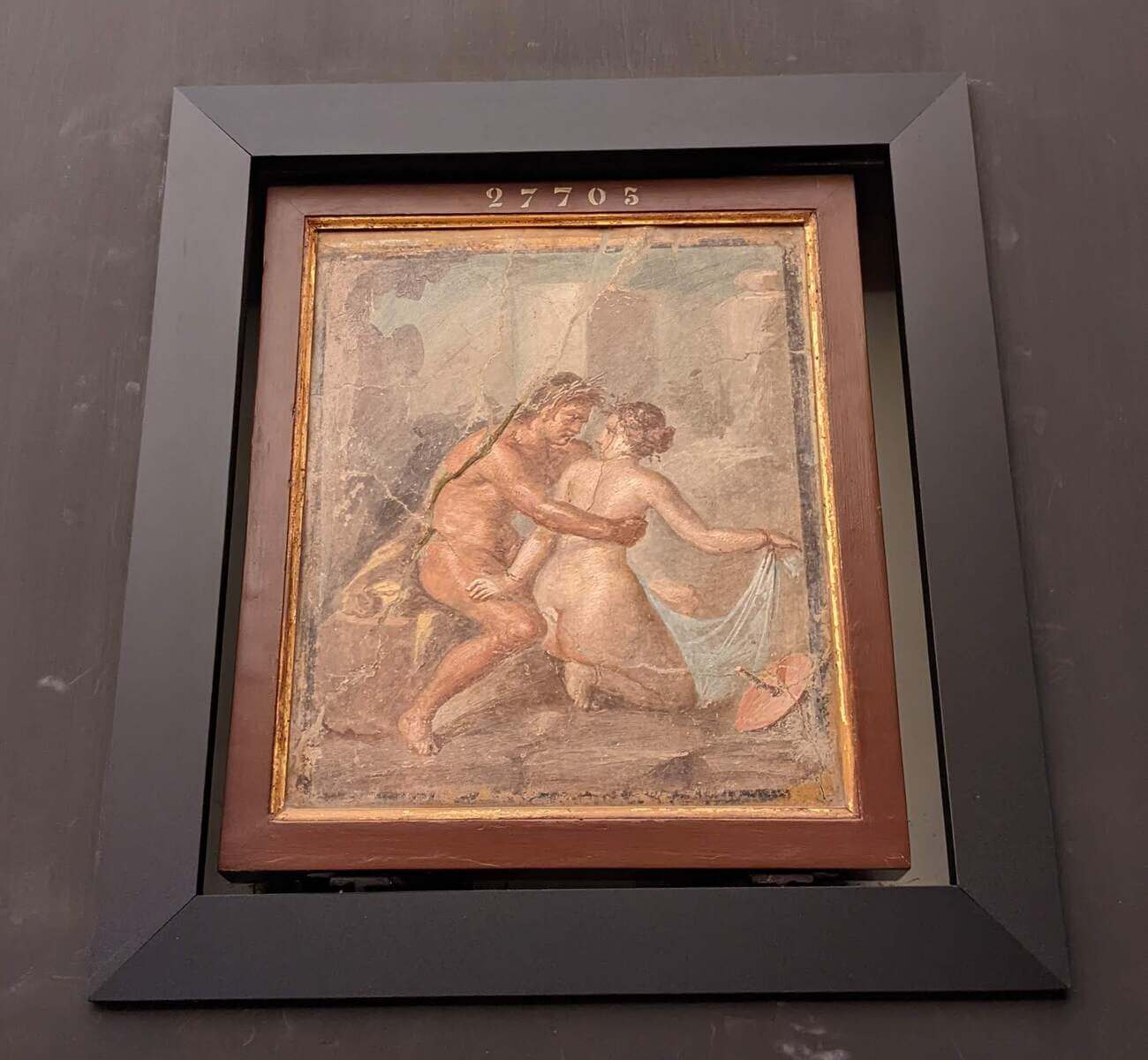 museo_adult1