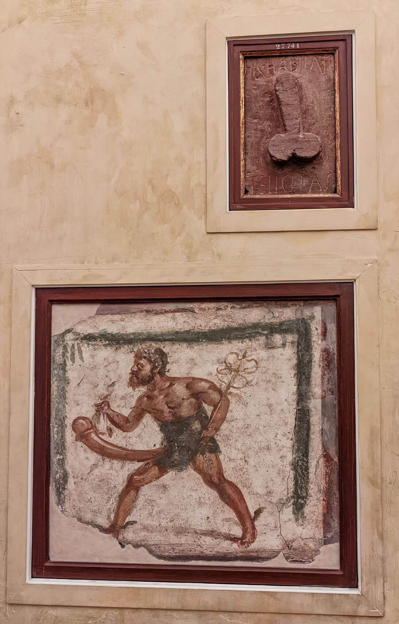museo_adult12