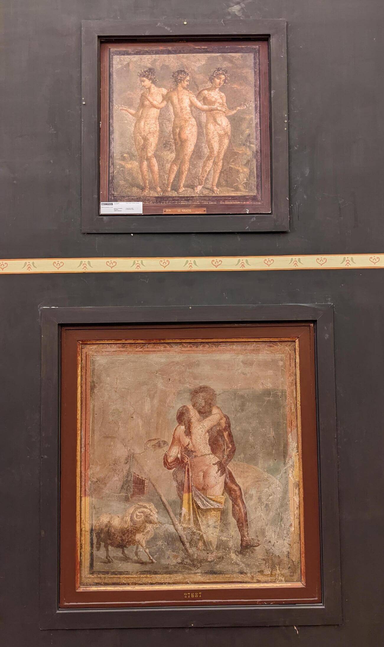 museo_adult2