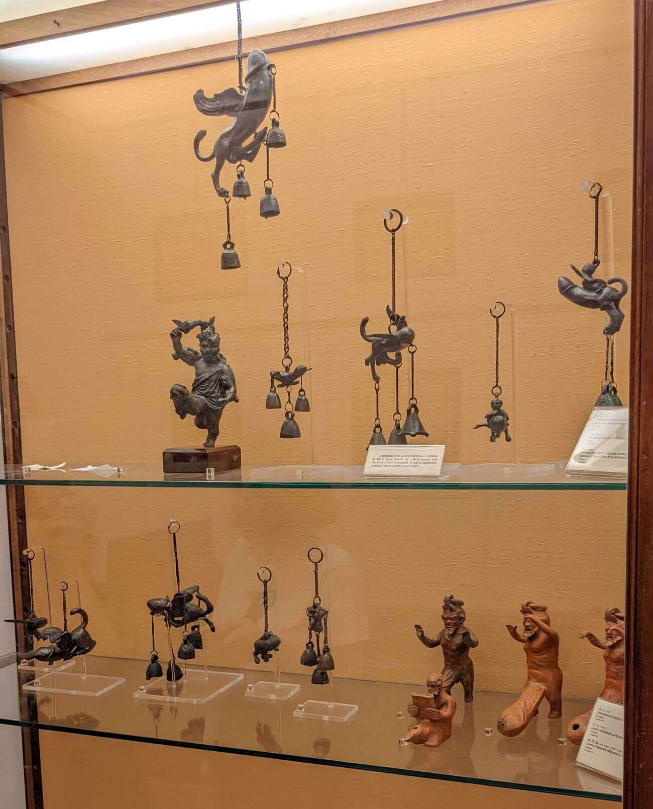 museo_adult5