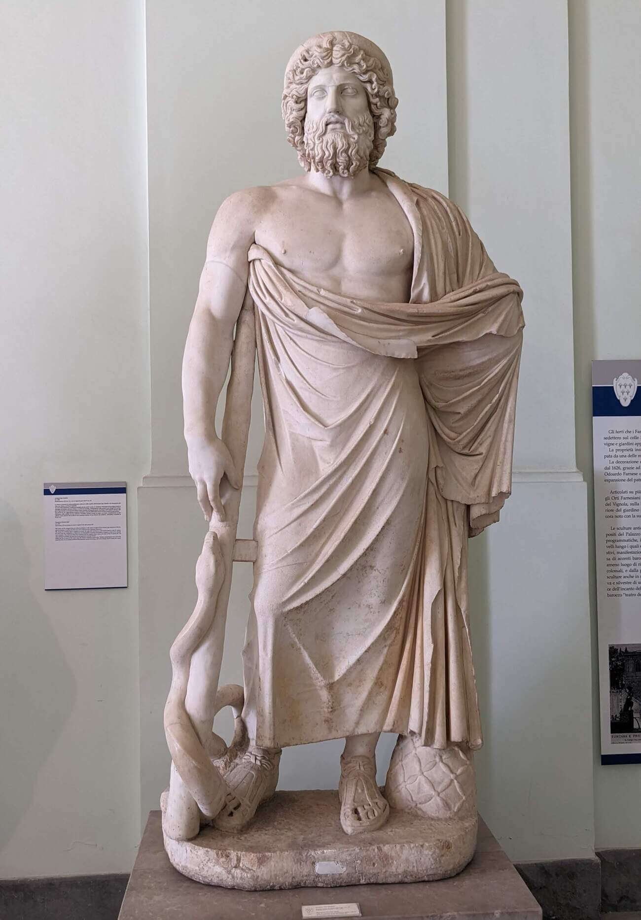 museo_farnese16