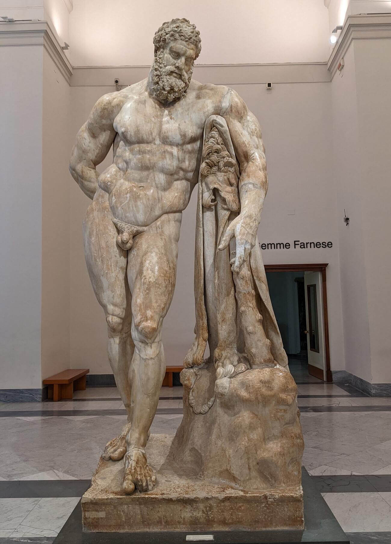museo_farnese21