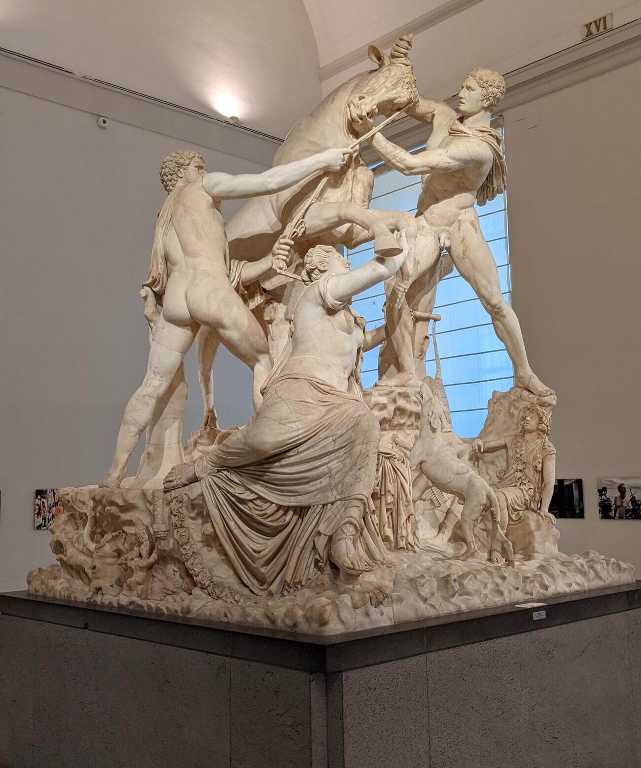 museo_farnese22