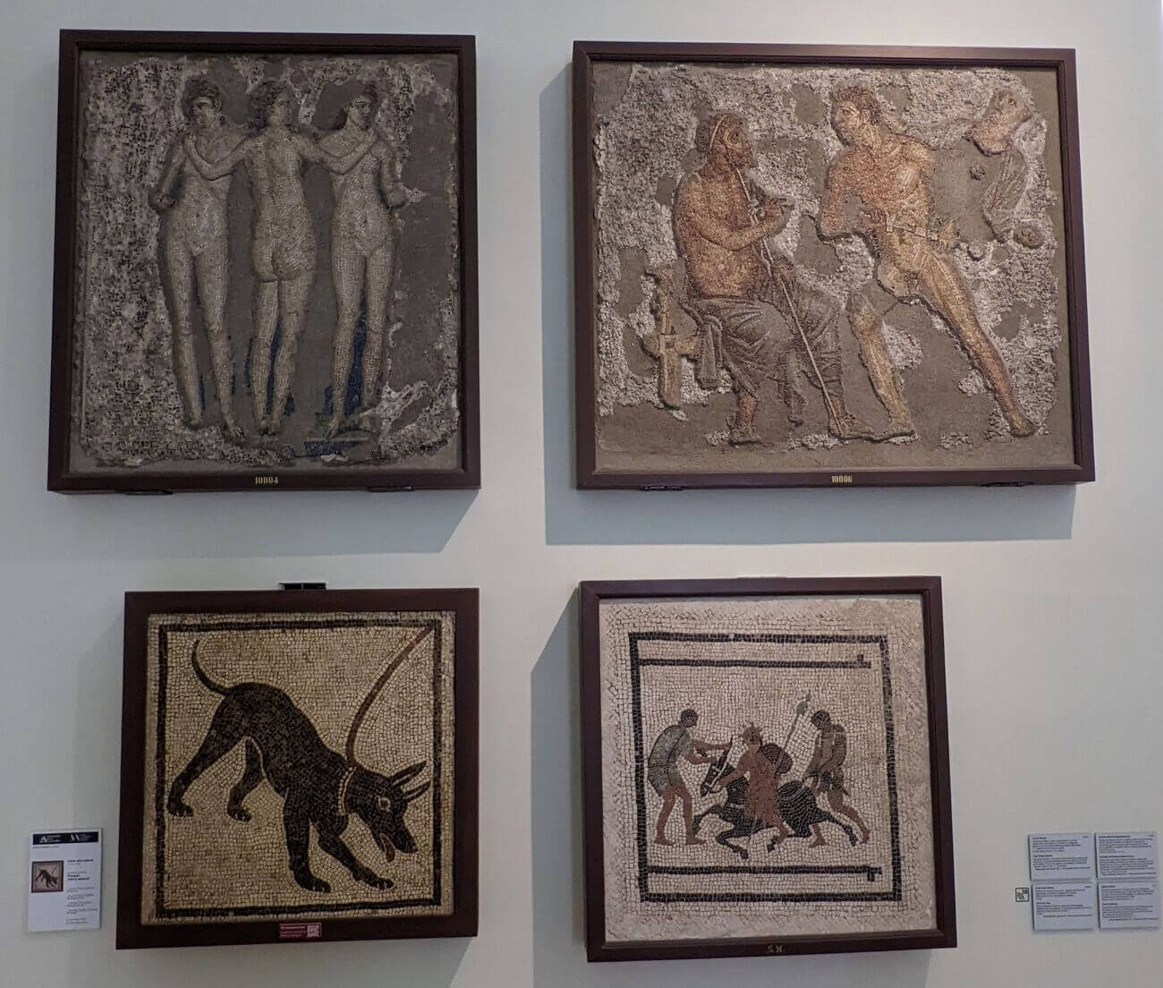 museo_mosaic1