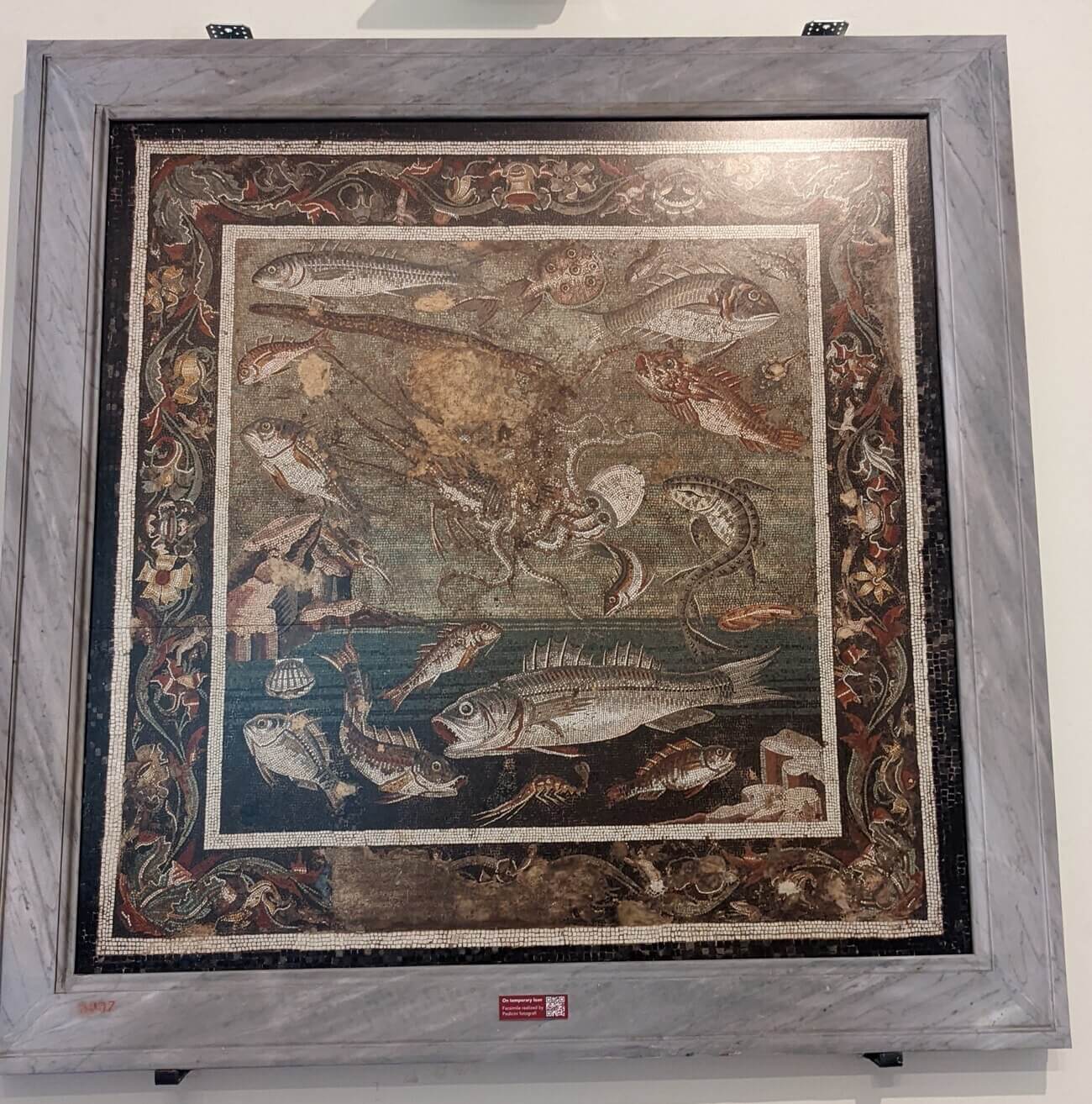 museo_mosaic10