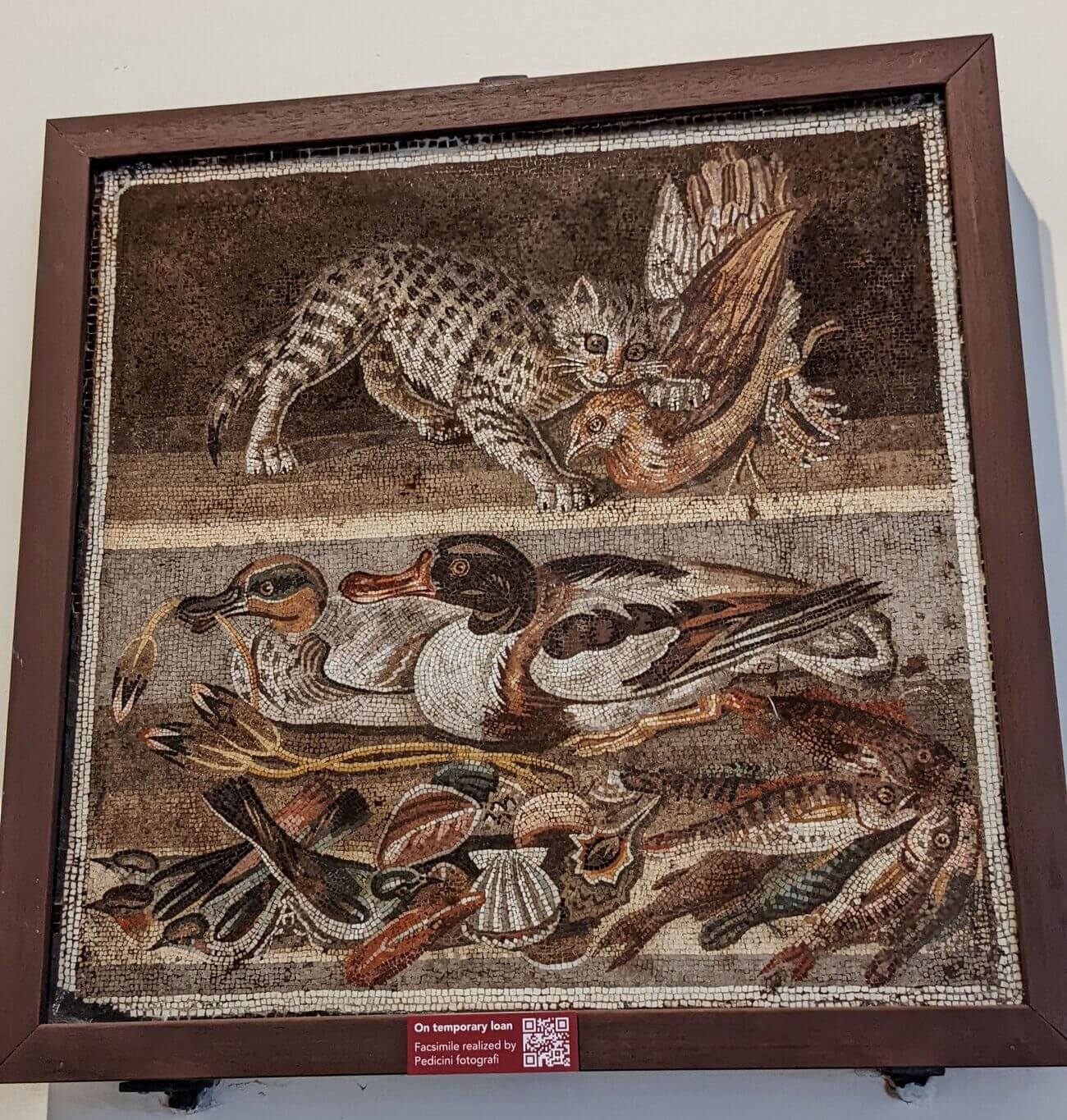 museo_mosaic11